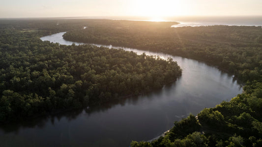 Pará: The Heart of Amazonia