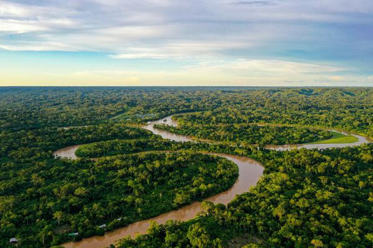 Why Amazonia Matters to the Entire Planet?