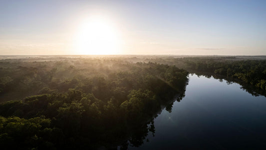 🥇 The History of Amazonia: Earth's Greatest Rainforest