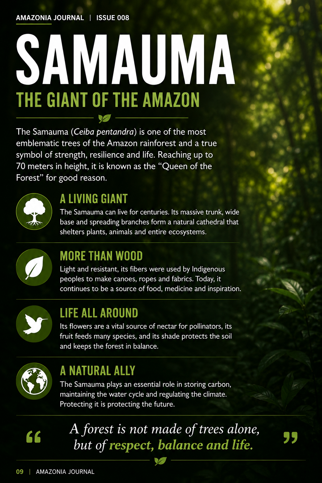Samaúma Giant